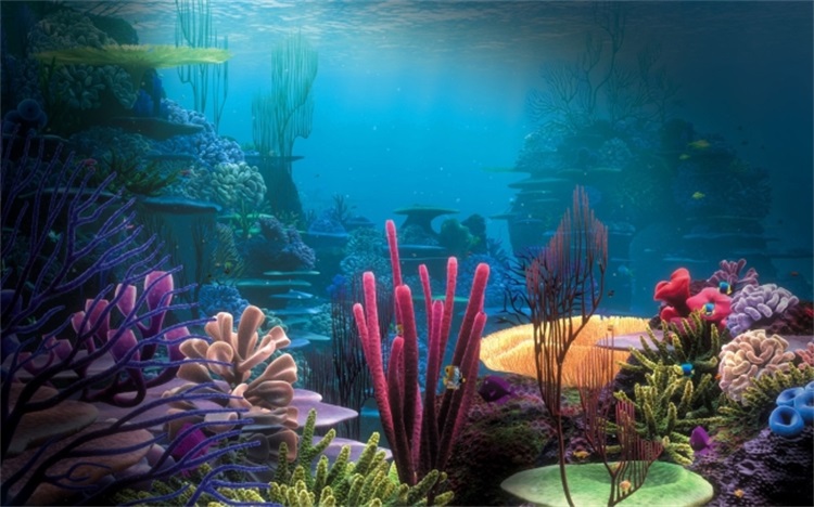 海底世界珊瑚-鱼-海底古城-02.jpg